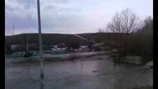 Неожиданно пришла весна...
