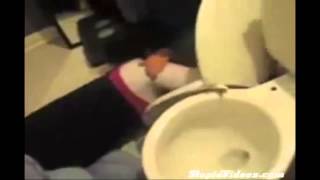 Прикол  Пьяные бабы    Давно у меня была мысль разместить подушку в туалете ..