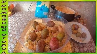 ХИТРЫЙ СПОСОБ ВЫРАЩИВАНИЯ КАРТОФЕЛЯ В ОПИЛКАХ!!!ИЛИ КАК ПОЛУЧИТЬ РАННИЙ УРОЖАЙ!