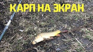 ЛОВЛЯ КАРПА НА ЭКРАН