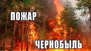 В зоне отчуждения Чернобыля вновь вспыхнул пожар Пожар в Чернобыле горит лес