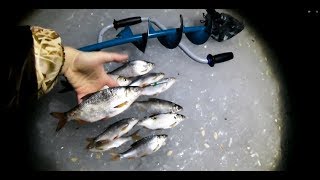 Ловля плотвы зимой. СХОД СОМА. Ловля плотвы ночью 2019. Рыбалка с АРТУРЫЧЕМ / ПЛОТВА ЗИМОЙ
