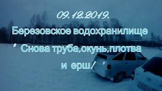 Березовское водохранилище."Снова труба,окунь,плотва и ерш." 09.12.2019.