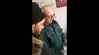 Купить лошадь с родословной и классную упряжь