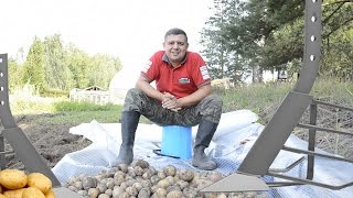 Копаем картошку мотоблоком. Настройка картофелекопателя секреты!