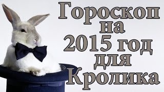 Гороскоп для Кролика на 2015 год