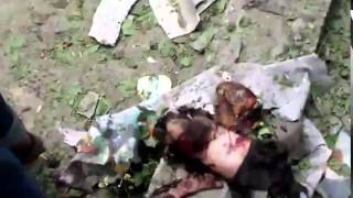 Станица Луганская  18  Жертвы и разрушения  2 июля 2014 АТО  Донбасс  Луганск