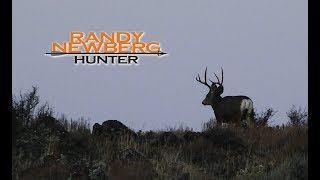 2016 Nevada Rifle Mule Deer Day 5 - with Randy Newberg