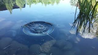 Работа скиммера