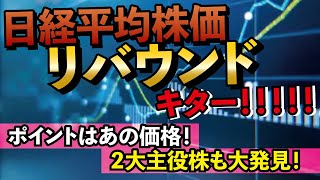 日経平均株価リバウンド大反発キター！ポイントはあの価格。日本株の主役も見つかった。中東情勢は波乱の芽は摘まれていない！