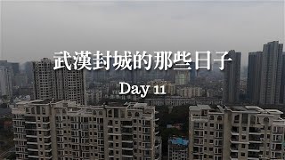 武汉封城的那些日子 - Day11｜澳洲撤侨免费了｜撤侨信息汇总｜生活比故事精彩