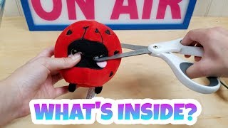 WHAT'S INSIDE MY SQUISHY SQUEEZE TOYS? SO MANY COOL SURPRISES & WE MADE REALLY COOL SLIMES!