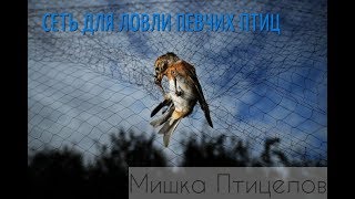 СЕТКА ДЛЯ ЛОВЛИ ПЕВЧИХ ПТИЦ(ОБЗОР).МЕСТО ДЛЯ ЛОВЛИ ПТИЦ!