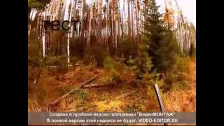 тест Kodac pixpro SP1 - работа стабилизатора . Разрешение  960  50 кадров