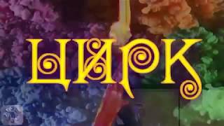 Цирк зажигает огни 2018 г.Чапаевск