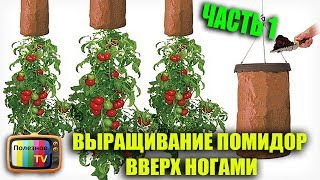 ВЫРАЩИВАНИЕ ПОМИДОР ВВЕРХ НОГАМИ ЧАСТЬ 1