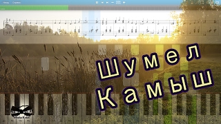 Шумел Камыш (на пианино Synthesia cover) Ноты и MIDI