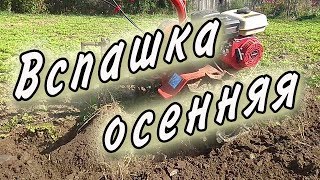 Осенняя вспашка плугом. Мотоблок Агат