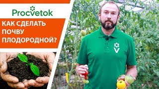 Севооборот, сидераты, оздоровление почвы