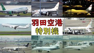 【即位礼正殿の儀】羽田空港に飛来した特別機 10/19.20
