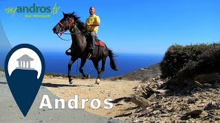 Andros | Horse Back Riding in Andros