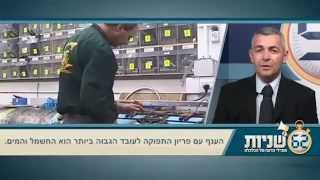 איך משפרים את פיריון המשק הישראלי?