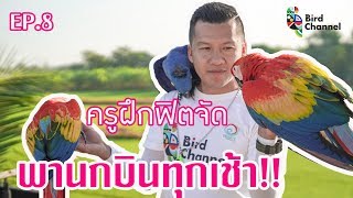 ครูฝึกฟิตจัด พานกบินทุกเช้า - โรงเรียนฝึกนกบินอิสระแห่งแรกของประเทศไทย