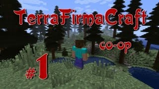 Minecraft: TerraFirmaCraft Co-op #1 (Первобытный реализм)