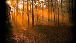 MOZART'S FINAL PIANO CONCERTO - No. 27 in B flat major, Allegro (first movement)