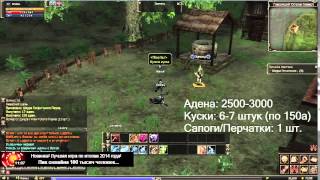 Где качаться в L2 Classic Топ спот 15 20 уровень