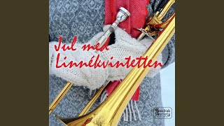 Gläns över sjö och strand