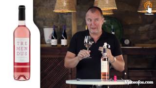 Video cata de Tremendus Clarete