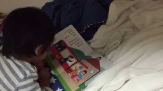 保健師の育児【2才11ヶ月☆絵本を読む☆その１】