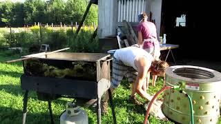 Super Fast Chicken Slaughter!!!
