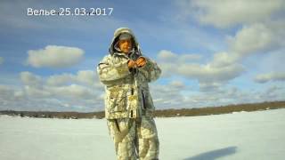 Рыбалка на озере Велье 25.03.2017
