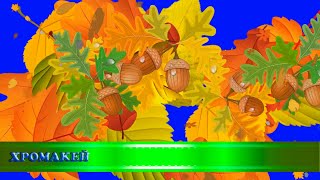 Футажи/переходы "Листья, осень", хромакей/transitions "Leaves, autumn", chromakey