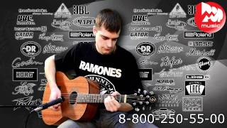 Акустическая гитара GREG BENNETT ST91
