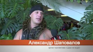 Сюжет  "Цирк"  Владивосток
