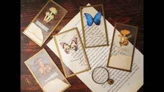 紙もの好きの雑記帳 125 100均素材で作る標本カード　How To Make Plastic Spesimen Cards