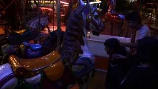 Fuga entre luces (Flight between the lights) Your Film Festival Entry