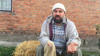 Благотворительность или Бизнес? Олег Манилюк, Защита Коров, ОО Бхуми
