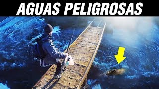 PESCA en Aguas PELIGROSAS en un Frío INVERNO / Pescando de Carpas