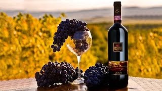 Русская винодельня в Америке. Russian Chappel Hill Winery, Columbus, NC.