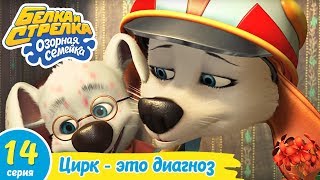 Озорная семейка - Цирк - это диагноз | Поучительный мультфильм для детей