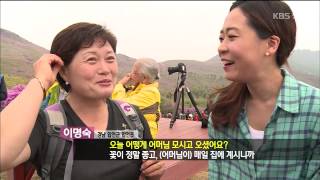 [전국을 달린다-창원] 水려한 합천여행 - ② 철쭉 3대 명산, 황매산 철쭉제 편 (2015.05.20,수)