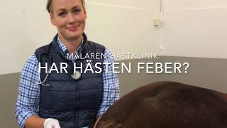 Har hästen feber?