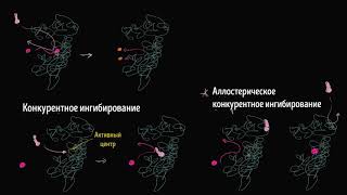 Неконкурентное ингибирование ферментов (видео 17) | Энергия | Биология