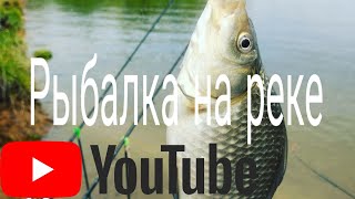 Рыбалка на реке. Ловим карася и густерку.