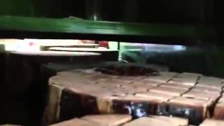 TB 900 Pezzolato линия автоматической колки дров