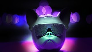 The Most Unique Bluetooth Speaker : Elistooop Bluetooth Speaker Review